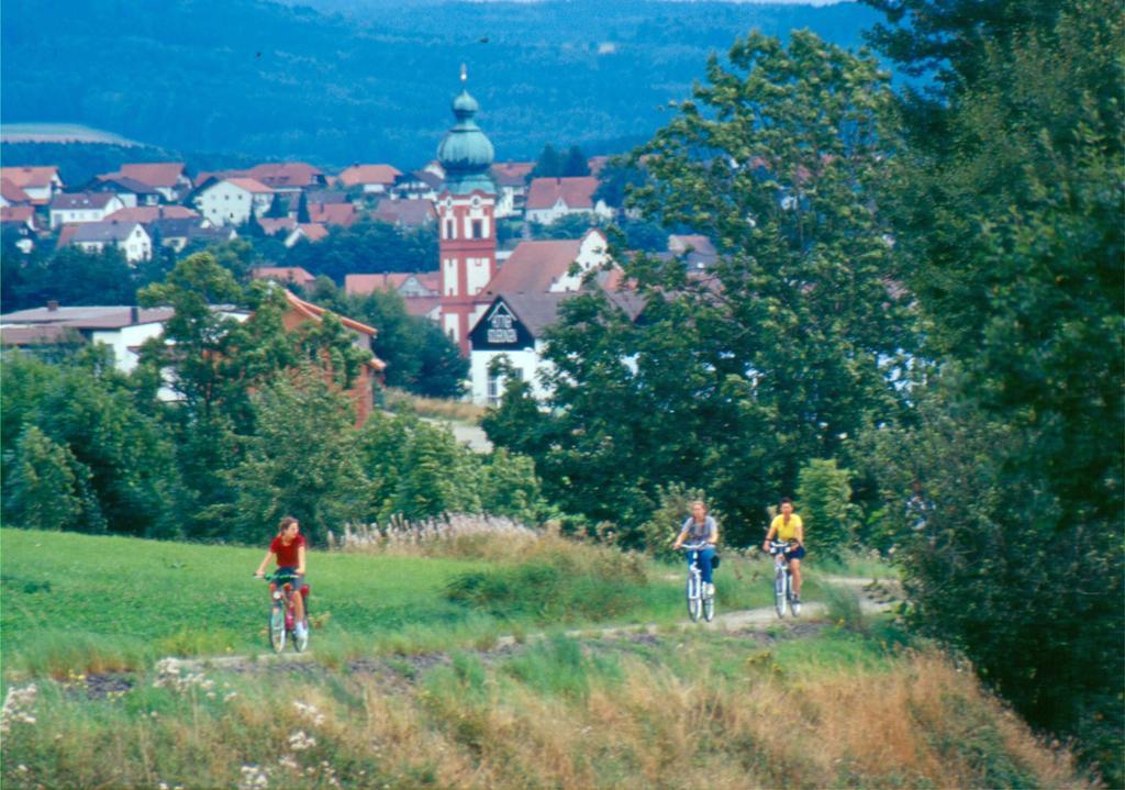 Zum Schwarzen Baeren Hotel Vohenstrauss Eksteriør billede